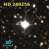 HD 240256