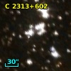C 2313+602