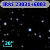 IRAS 23031+6003