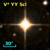 V* YY Scl