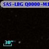 SAS-LBG Q0000-M1