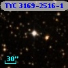 TYC 3169-2516-1