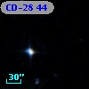 CD-28    44