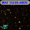 IRAS 23118+6035