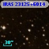 IRAS 23125+6014
