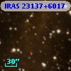 IRAS 23137+6017