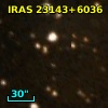 IRAS 23143+6036