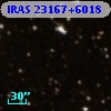 IRAS 23167+6018
