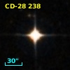 CD-28   238