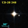CD-28   248