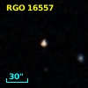 RGO 16557