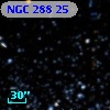 NGC   288    25