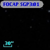 FOCAP SGP3:01