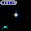 WT 1167