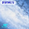 [FSF98]  5
