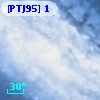 [PTJ95] 1