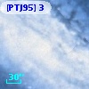 [PTJ95] 3