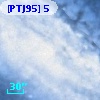 [PTJ95] 5