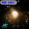 RRF 1067