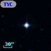 TYC 6421-1005-1