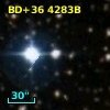 BD+36  4283B