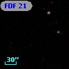 FDF    21