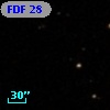 FDF    28