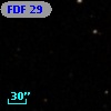 FDF    29