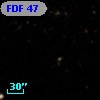 FDF    47