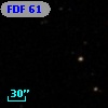 FDF    61
