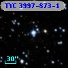 TYC 3997-873-1