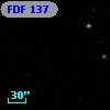 FDF   137