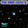 TYC 3997-1125-1