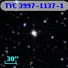 TYC 3997-1137-1