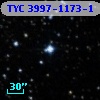 TYC 3997-1173-1
