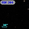 FDF   204