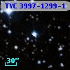 TYC 3997-1299-1