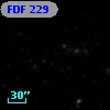 FDF   229