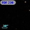 FDF   230