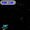 FDF   236