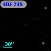 FDF   238
