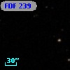FDF   239