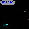 FDF   246