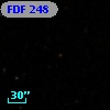 FDF   248