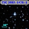 TYC 3997-1428-1