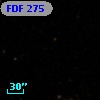 FDF   275