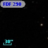 FDF   290