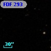 FDF   293