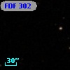 FDF   302