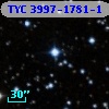 TYC 3997-1781-1